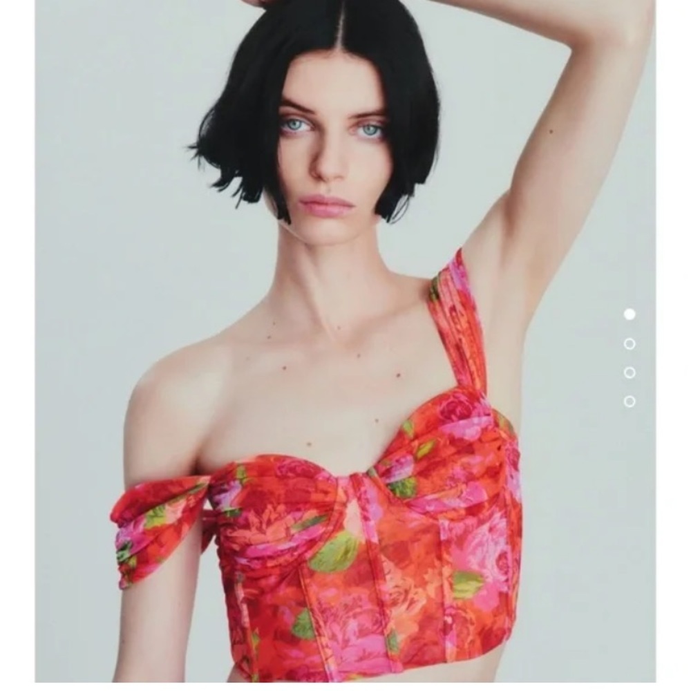 ZARA BLOGGERS FAV TULLE FLORAL CORSET TOP S58
